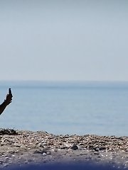 12 pictures - Hot bikini images of topless girls